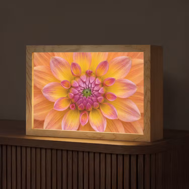 Dahlia - Bloem - Oranje Light Box met kabel (Tafellamp) klein -z3d_website
