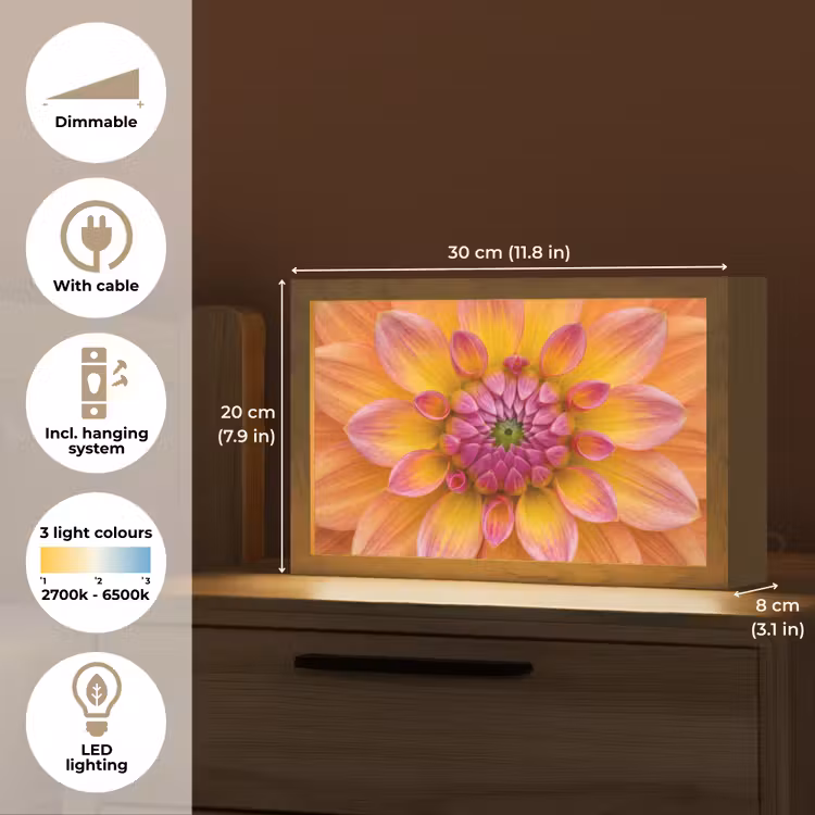 Dahlia - Bloem - Oranje Light Box met kabel (Tafellamp) klein -USP_EN