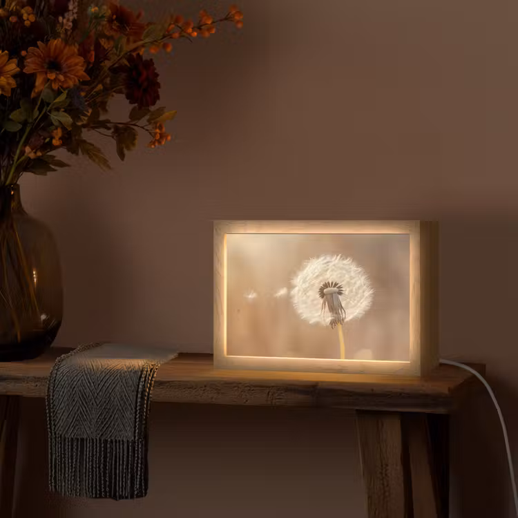 Paardenbloem - Beige - Natuur - Bloem Light Box met kabel (Tafellamp) klein -sfeer4