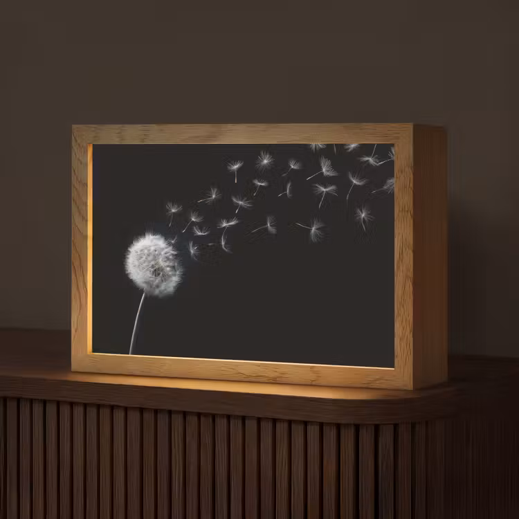 Paardenbloem - Zwart - Natuur Light Box met kabel (Tafellamp) klein -z3d_website