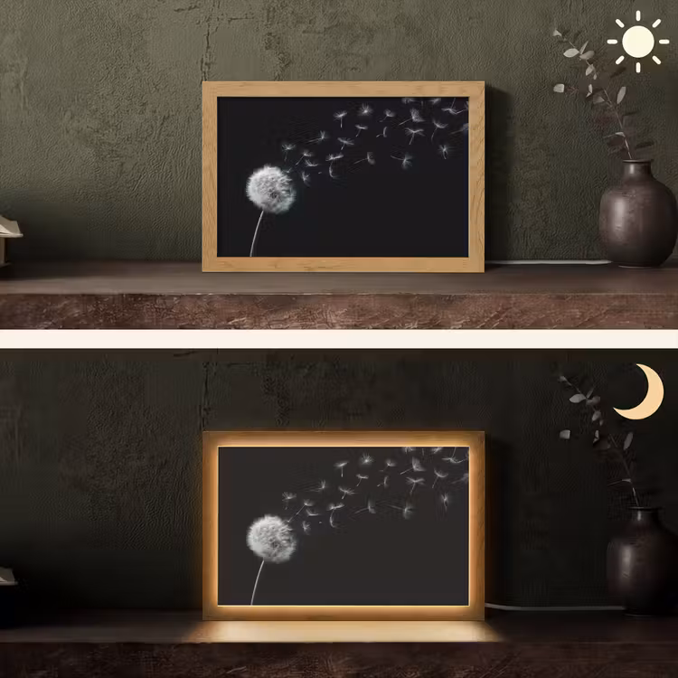 Paardenbloem - Zwart - Natuur Light Box met kabel (Tafellamp) klein -sfeer3