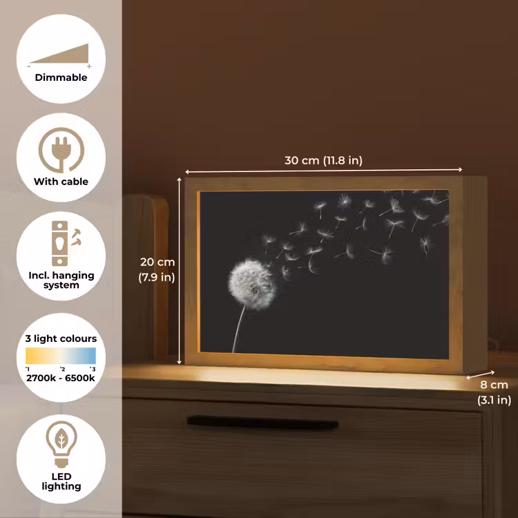 Paardenbloem - Zwart - Natuur Light Box met kabel (Tafellamp) klein -USP_EN