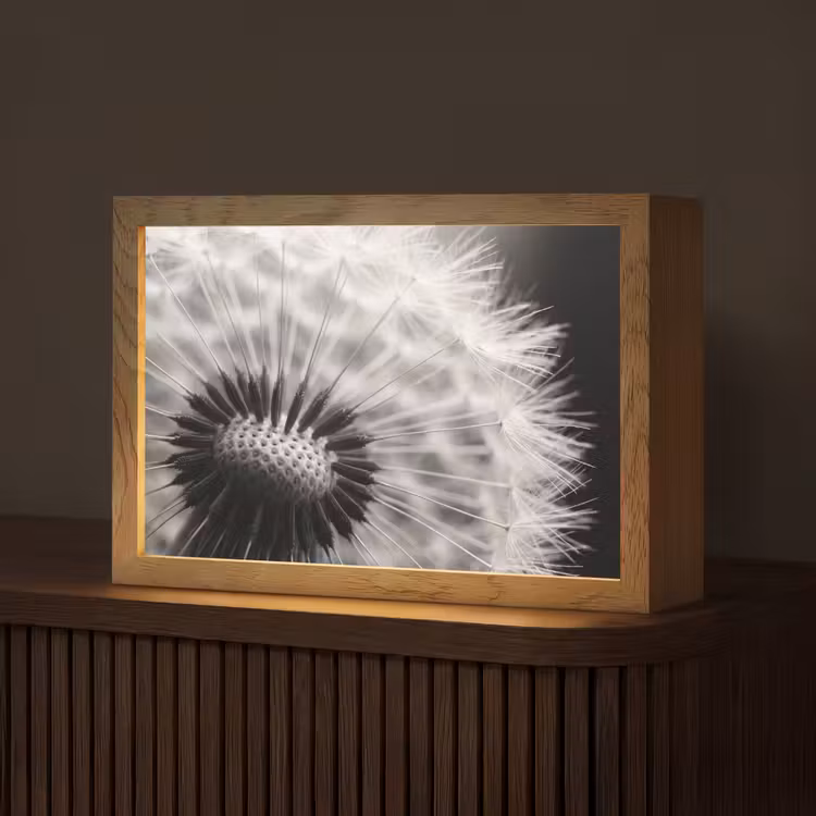 Paardenbloem - Zwart - Wit Light Box met kabel (Tafellamp) klein -z3d_website