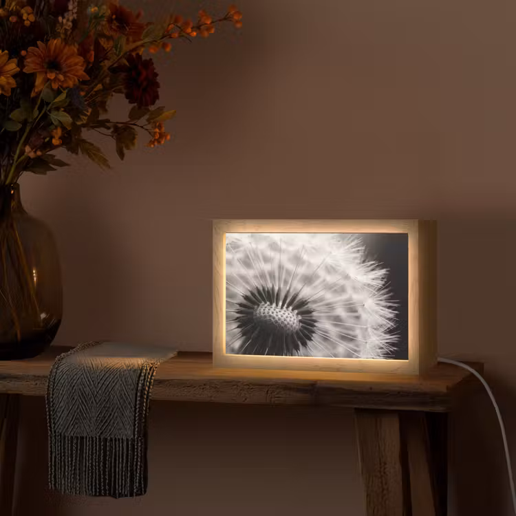 Paardenbloem - Zwart - Wit Light Box met kabel (Tafellamp) klein -sfeer4