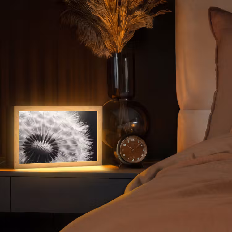 Paardenbloem - Zwart - Wit Light Box met kabel (Tafellamp) klein -sfeer1