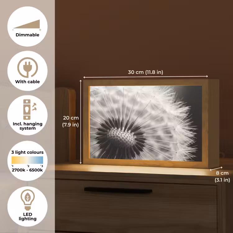 Paardenbloem - Zwart - Wit Light Box met kabel (Tafellamp) klein -USP_EN
