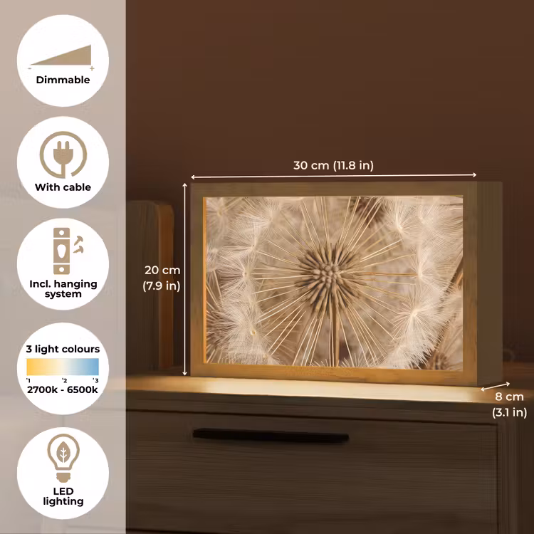 Paardenbloem - Bloemen - Natuur - Bruin Light Box met kabel (Tafellamp) klein -USP_EN