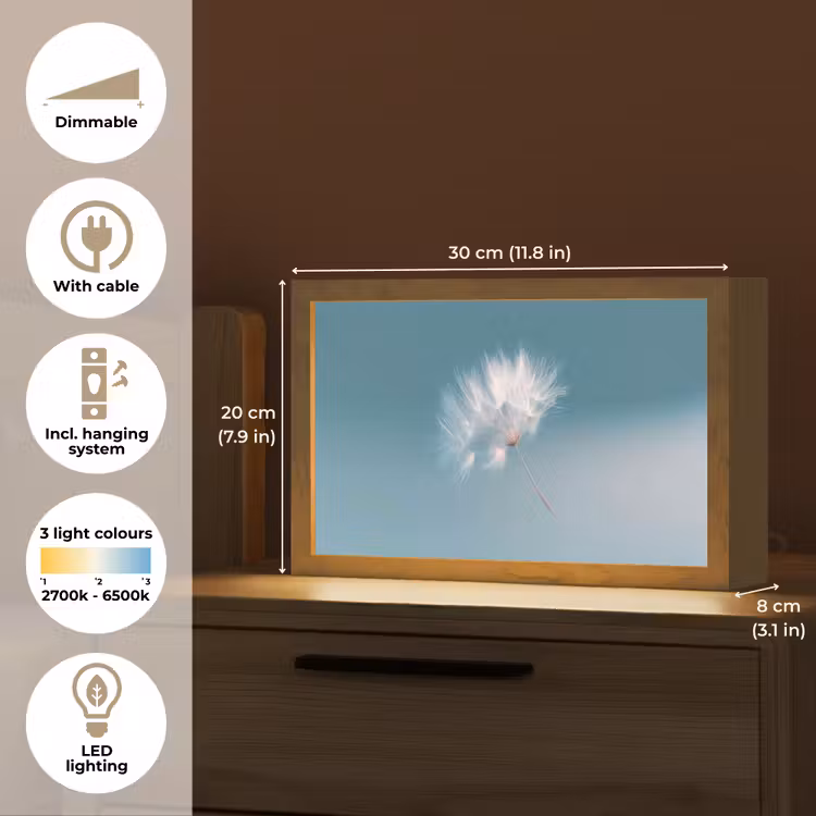Paardenbloempluisje - Blauw - Lucht Light Box met kabel (Tafellamp) klein -USP_EN