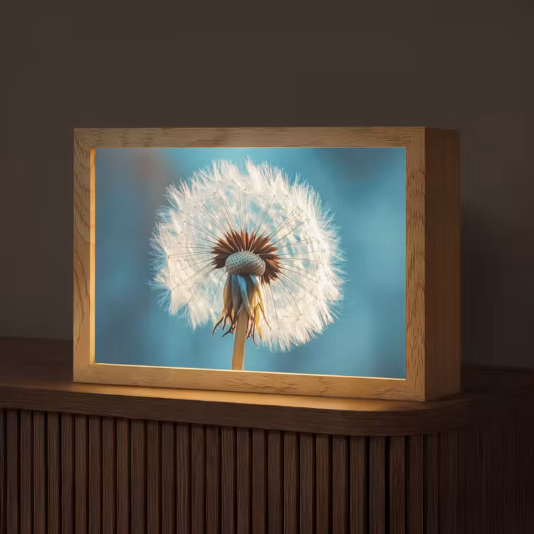 Paardenbloem - Natuur - Bloemen - Blauw Light Box met kabel (Tafellamp) klein -z3d_website
