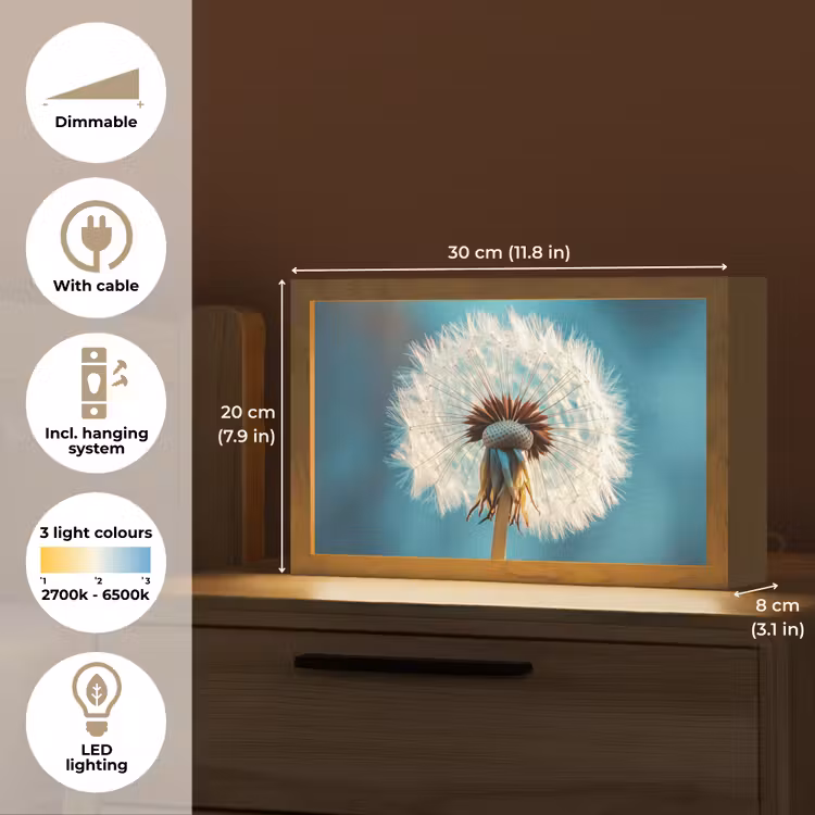 Paardenbloem - Natuur - Bloemen - Blauw Light Box met kabel (Tafellamp) klein -USP_EN