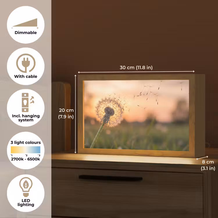 Paardenbloem - Zonsondergang - Veld Light Box met kabel (Tafellamp) klein -USP_EN
