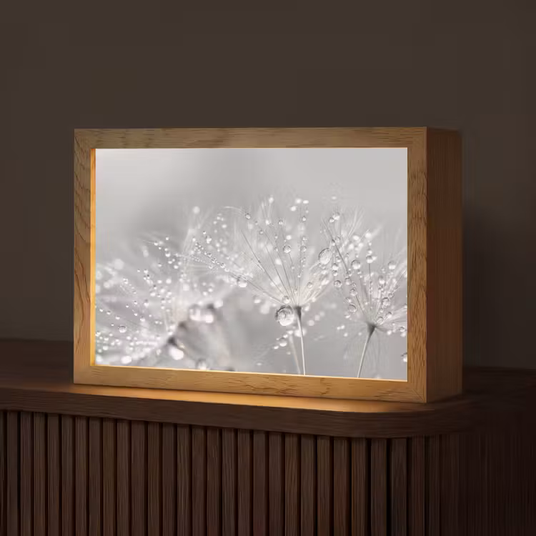 Paardenbloem - Waterdruppels - Stilleven - Modern Light Box met kabel (Tafellamp) klein -z3d_website