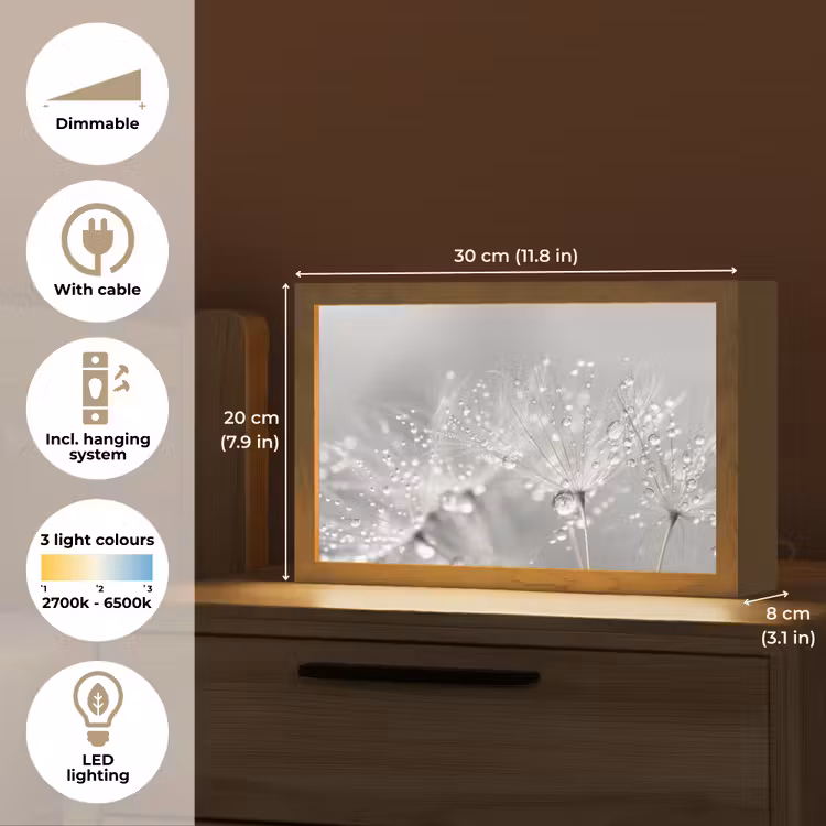 Paardenbloem - Waterdruppels - Stilleven - Modern Light Box met kabel (Tafellamp) klein -USP_EN