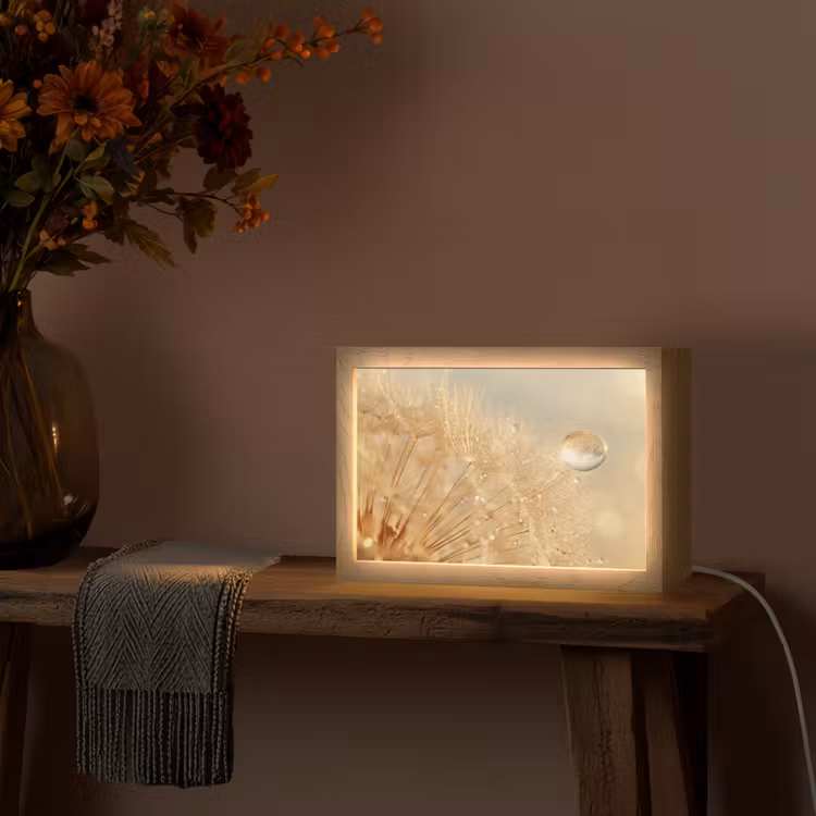 Paardenbloem - Water - Natuur - Planten - Modern Light Box met kabel (Tafellamp) klein -sfeer4