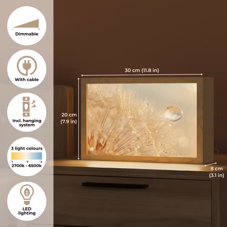 Paardenbloem - Water - Natuur - Planten - Modern Light Box met kabel (Tafellamp) klein -USP_EN