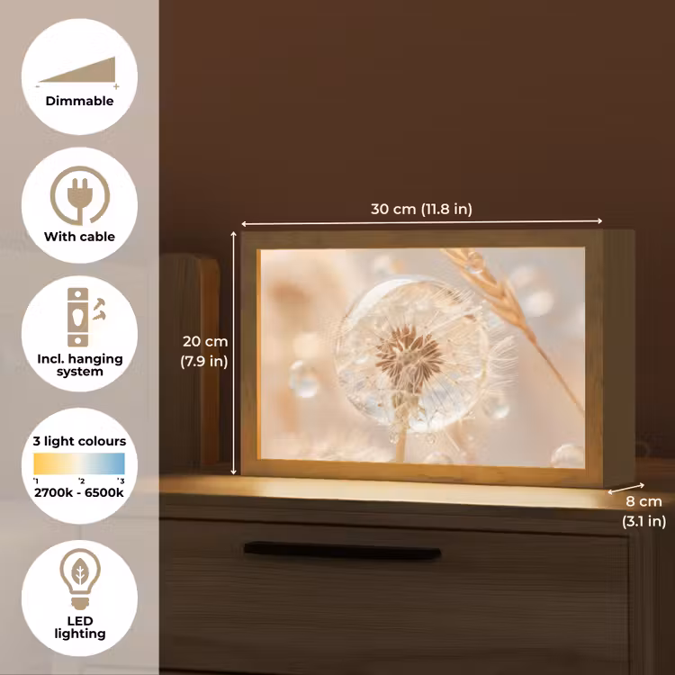 Paardenbloem - Water - Natuur - Stilleven - Modern Light Box met kabel (Tafellamp) klein -USP_EN