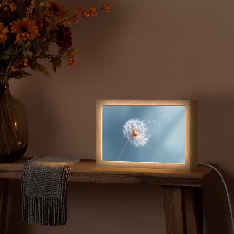 Paardenbloem - Wind - Blauw Light Box met kabel (Tafellamp) klein -sfeer4