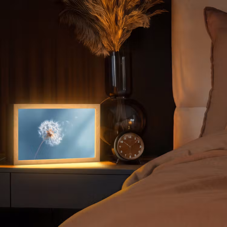 Paardenbloem - Wind - Blauw Light Box met kabel (Tafellamp) klein -sfeer1