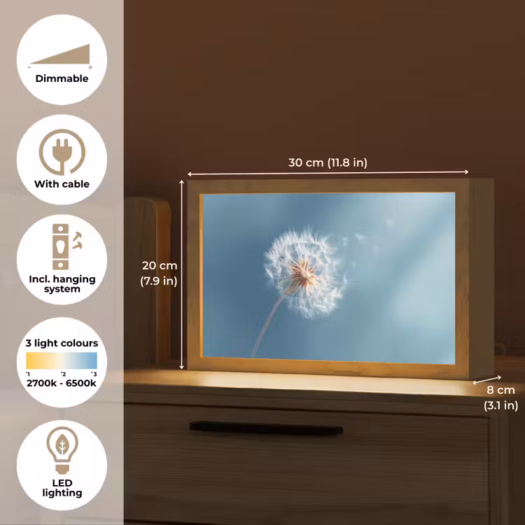 Paardenbloem - Wind - Blauw Light Box met kabel (Tafellamp) klein -USP_EN