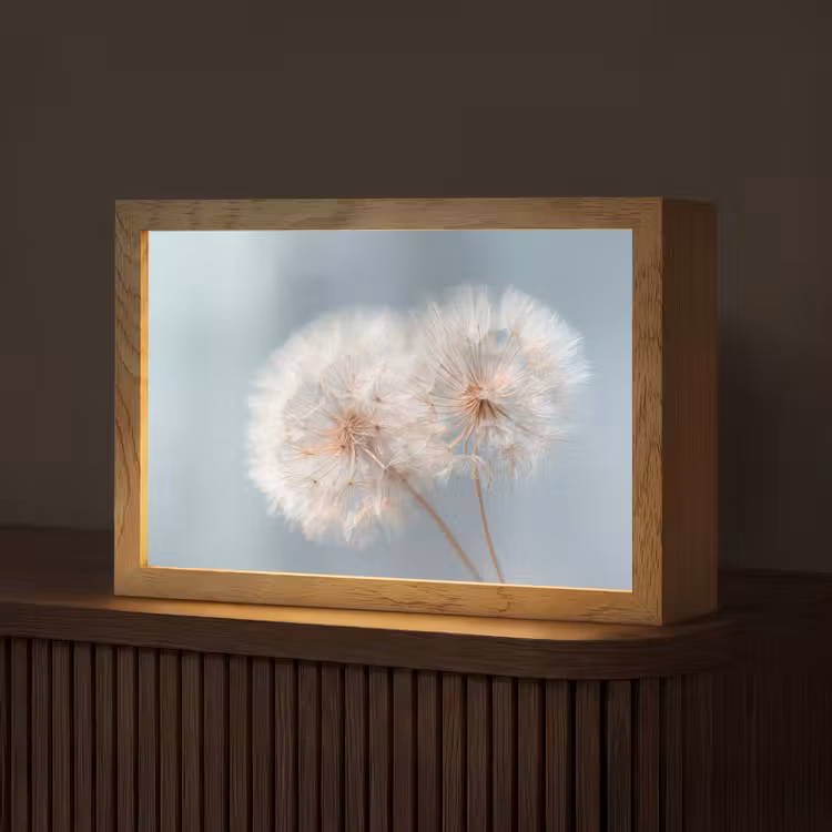 Paardenbloemen - Pluisjes - Wit Light Box met kabel (Tafellamp) klein -z3d_website
