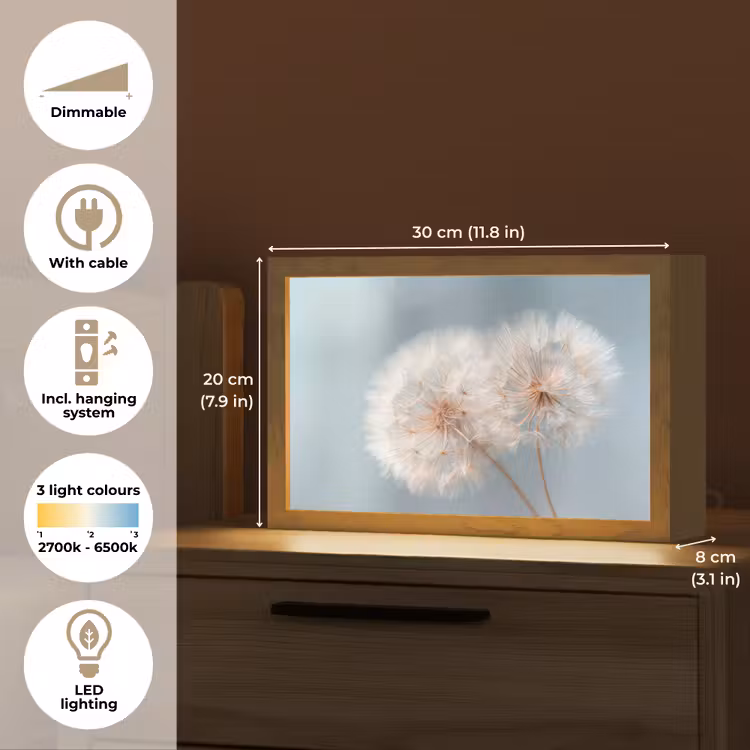Paardenbloemen - Pluisjes - Wit Light Box met kabel (Tafellamp) klein -USP_EN