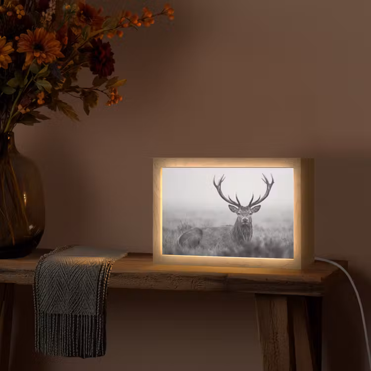Hert - Mistig - Zwart - Wit Light Box met kabel (Tafellamp) klein -sfeer4