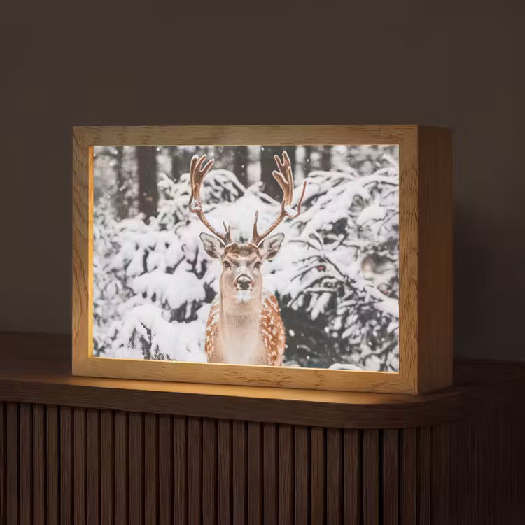 Hert - Sneeuw - Winter - Bos - Dieren Light Box met kabel (Tafellamp) klein -z3d_website