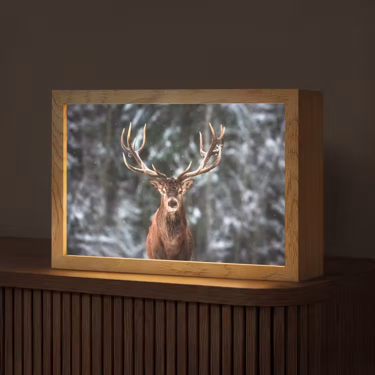 Hert - Winter - Sneeuw - Bos - Natuur - Dier Light Box met kabel (Tafellamp) klein -z3d_website