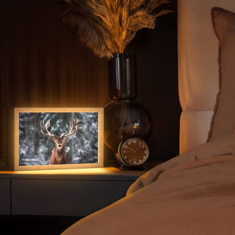 Hert - Winter - Sneeuw - Bos - Natuur - Dier Light Box met kabel (Tafellamp) klein -sfeer1