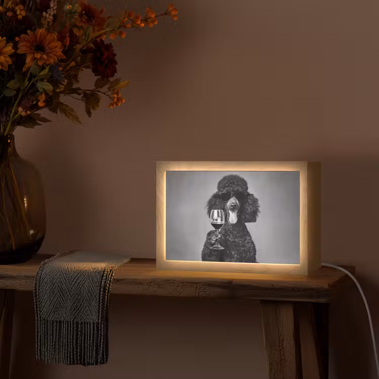 Hond - Krullen - Zonnebril - Wijn Light Box met kabel (Tafellamp) klein -sfeer4