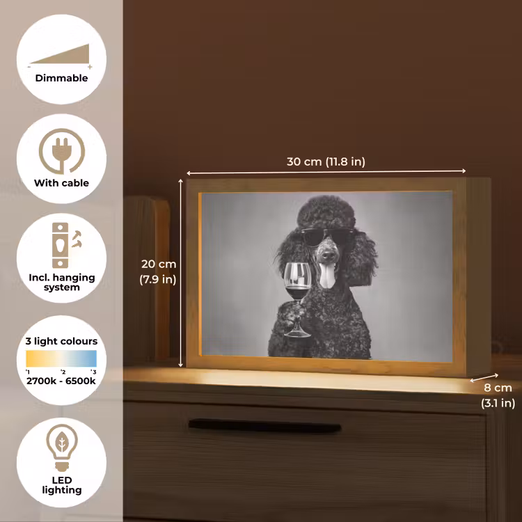 Hond - Krullen - Zonnebril - Wijn Light Box met kabel (Tafellamp) klein -USP_EN