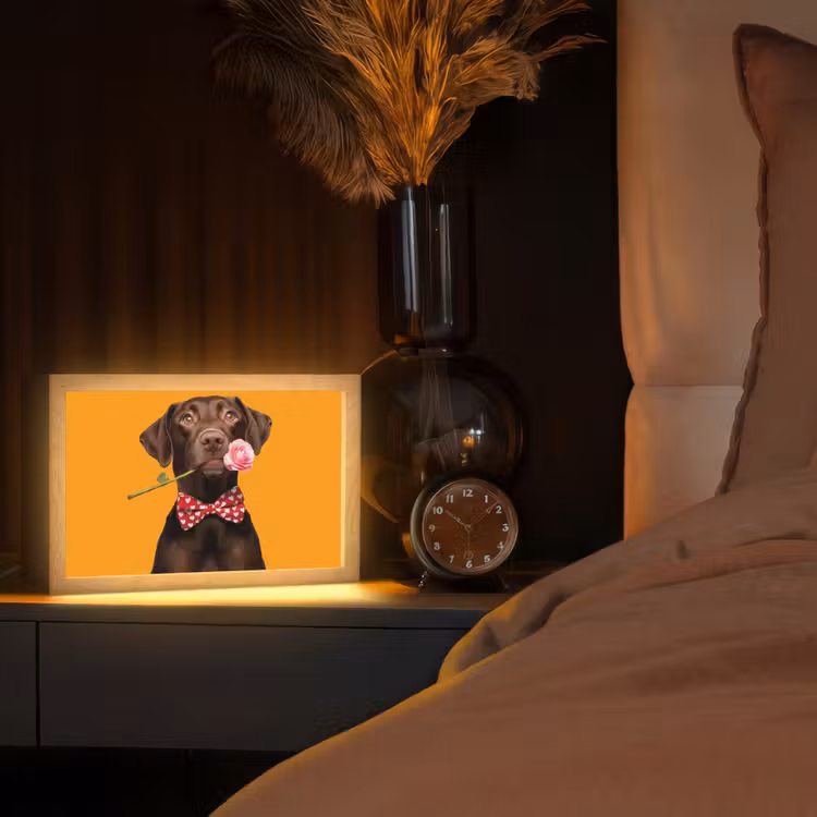 Hond - Oranje - Roos - Valentijn Light Box met kabel (Tafellamp) klein -sfeer1