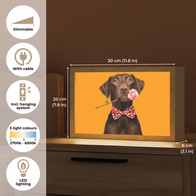 Hond - Oranje - Roos - Valentijn Light Box met kabel (Tafellamp) klein -USP_EN