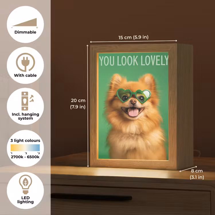 Hond - Zonnebril - Valentijn - Love Light Box met kabel (Tafellamp) klein -USP_EN