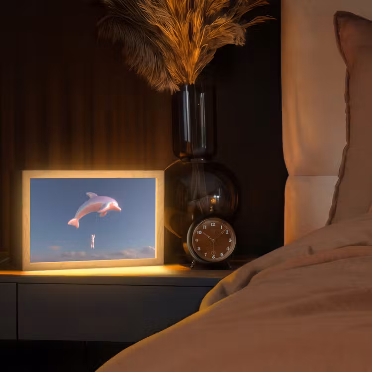 Dolfijn - Roze - Astronaut Light Box met kabel (Tafellamp) klein -sfeer1