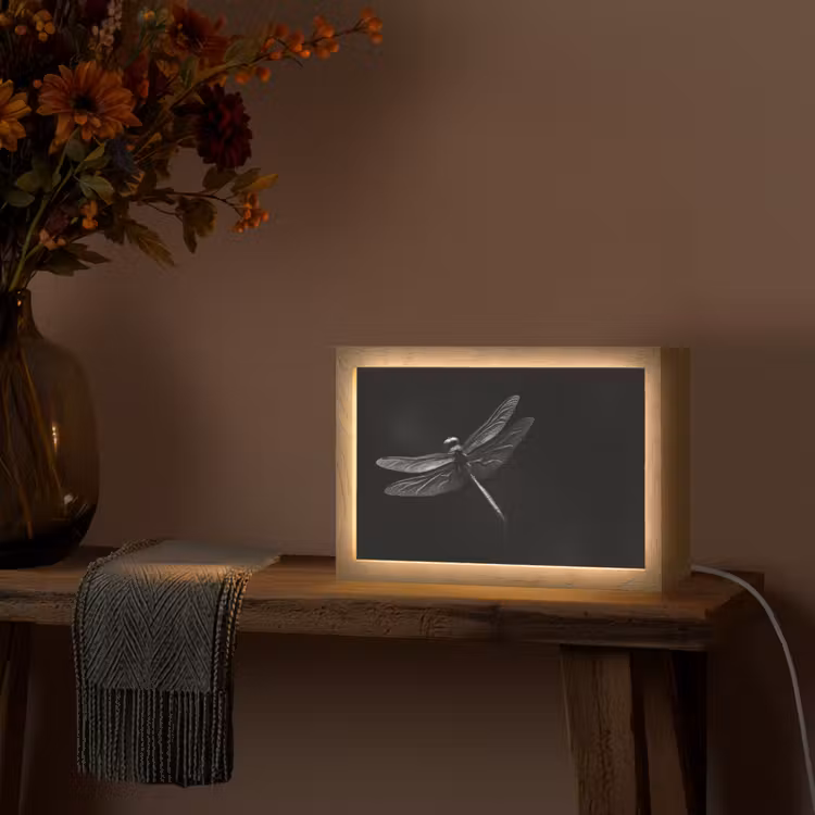 Libelle - Dieren - Zwart - Insect Light Box met kabel (Tafellamp) klein -sfeer4