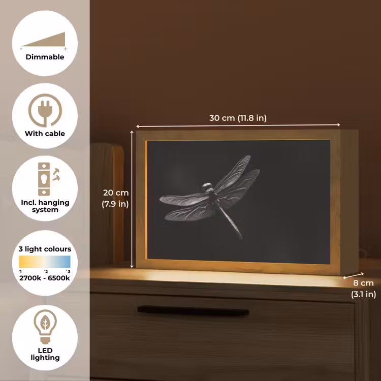 Libelle - Dieren - Zwart - Insect Light Box met kabel (Tafellamp) klein -USP_EN