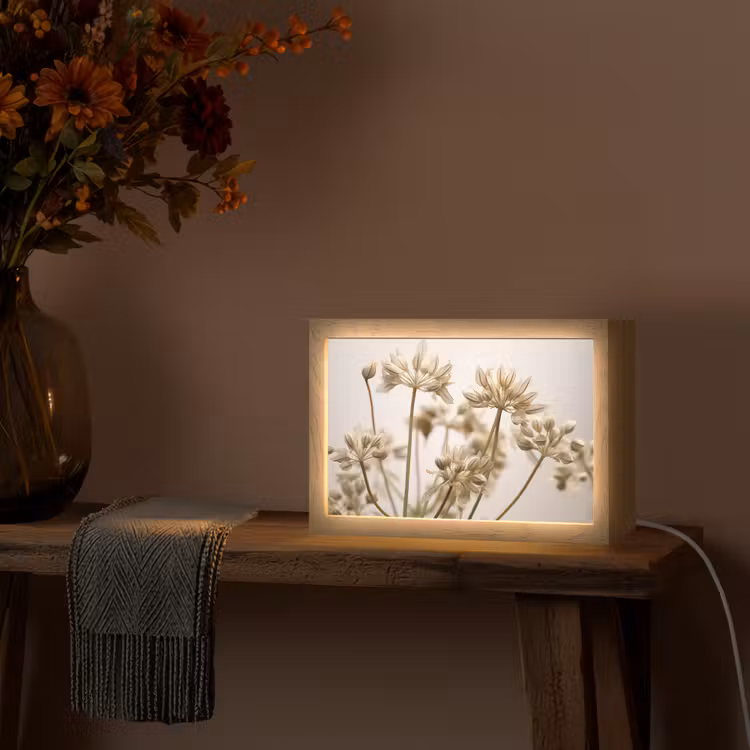 Droogbloemen - Beige - Wit - Planten Light Box met kabel (Tafellamp) klein -sfeer4