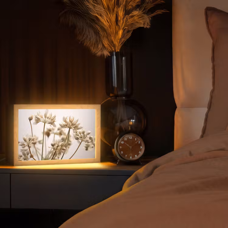 Droogbloemen - Beige - Wit - Planten Light Box met kabel (Tafellamp) klein -sfeer1