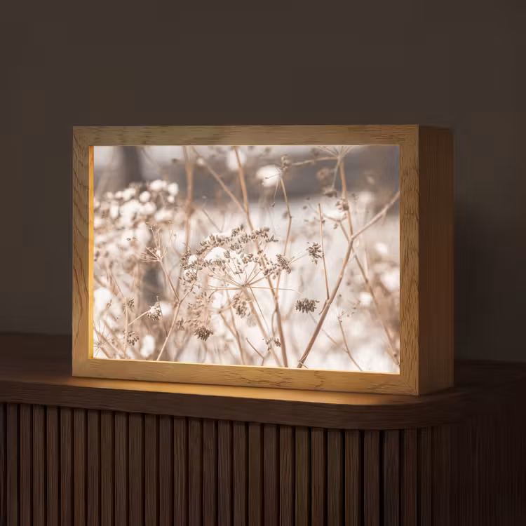 Droogbloemen - Wit - Planten Light Box met kabel (Tafellamp) klein -z3d_website