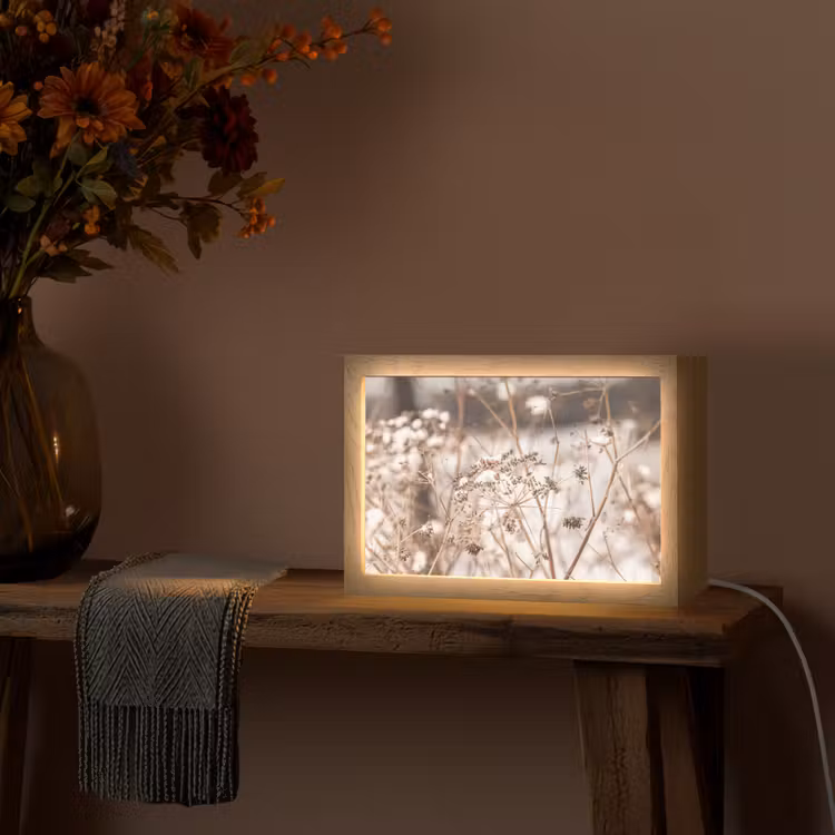 Droogbloemen - Wit - Planten Light Box met kabel (Tafellamp) klein -sfeer4
