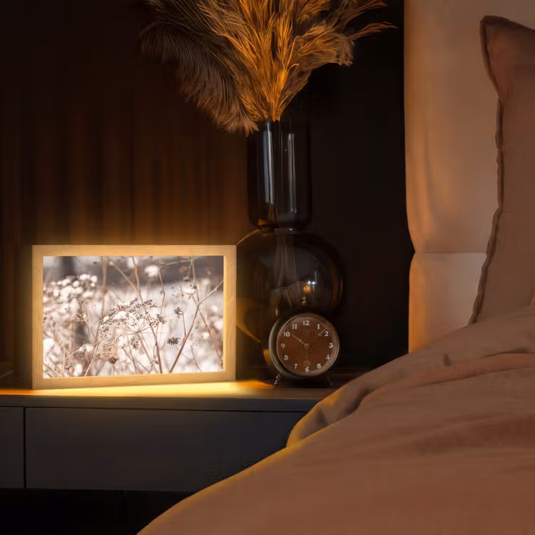 Droogbloemen - Wit - Planten Light Box met kabel (Tafellamp) klein -sfeer1