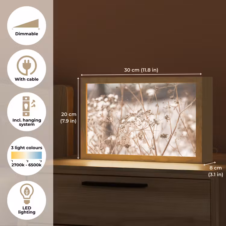 Droogbloemen - Wit - Planten Light Box met kabel (Tafellamp) klein -USP_EN