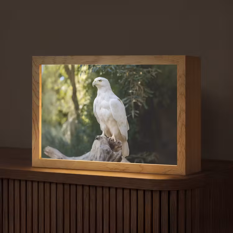 Arend - Hout - Wit - Planten Light Box met kabel (Tafellamp) klein -z3d_website