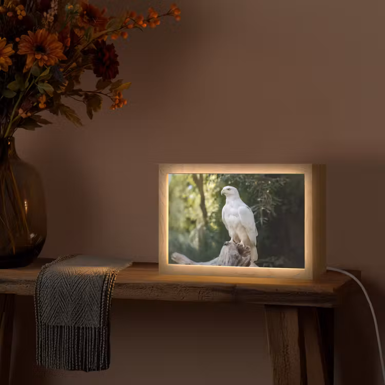 Arend - Hout - Wit - Planten Light Box met kabel (Tafellamp) klein -sfeer4