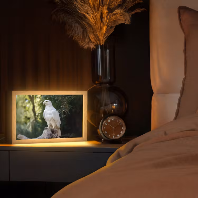Arend - Hout - Wit - Planten Light Box met kabel (Tafellamp) klein -sfeer1