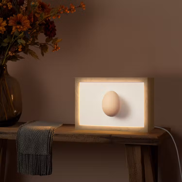 Ei - Beige - Ovaal - Egaal Light Box met kabel (Tafellamp) klein -sfeer4
