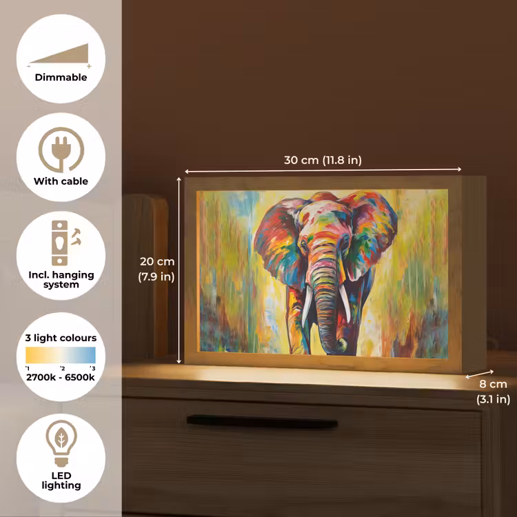 Olifant - Kunst - Schilderij - Dieren - Regenboog Light Box met kabel (Tafellamp) klein -USP_EN