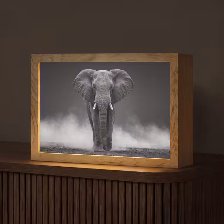 Olifant - Zwart - Wit - Rook Light Box met kabel (Tafellamp) klein -z3d_website