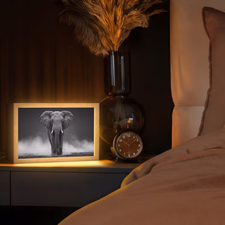 Olifant - Zwart - Wit - Rook Light Box met kabel (Tafellamp) klein -sfeer1